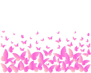 pink flowers and butterflies