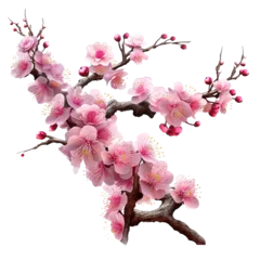 Foto op Plexiglas sakura © Panaphat