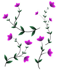 Fototapeta premium flowers with stems and leaves clipart