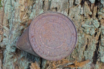 one brown old rusty round tin can lies on a gray dry wood in the street