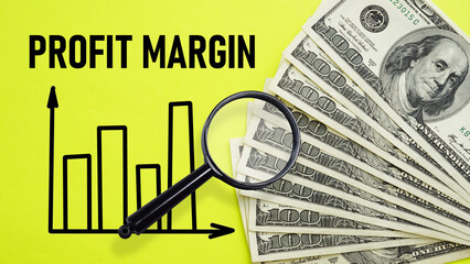 Profit margins is shown using the text and photo of magnifying glass and dollars