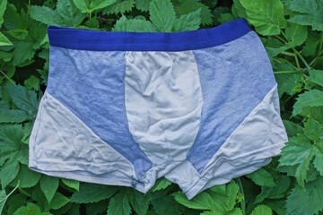 one shorts of blue gray fabric lies on the green leaves of plants outdoors in nature