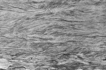 White wood texture with natural pattern, wooden background