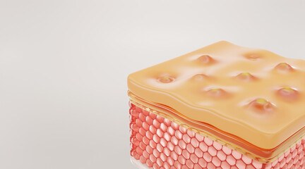 large pores skin layer and, reduce up saggy skin of the skin cell. 3d rendering.	
