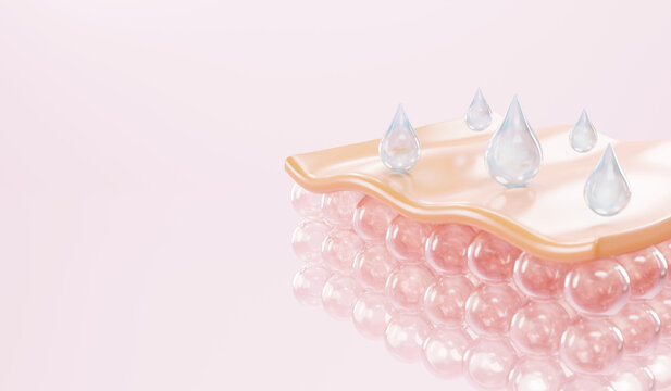 serum and vitamin drop on skin cell.
serum through the skin layer and reduce up saggy skin of the skin cell. 3d rendering.  