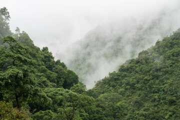Fototapeta na wymiar Catarata Petaponto Costa Rica