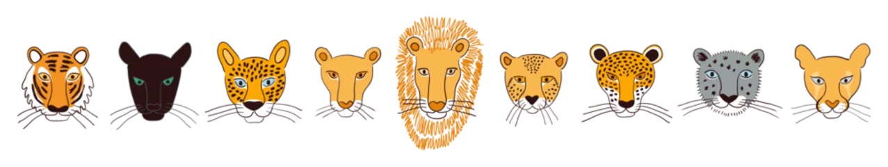 Abwaschbare Fototapete Abbildungen Big cats faces isolated collection, color. Lion, tiger, leopard, jaguar, panther, cougar, cheetah. Hand drawn vector illustration. Line art style design. Animal characters, wildlife clipart elements