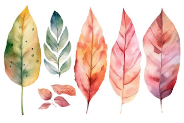 Watercolor floral illustration set - colorful leaf branches collection, AI Generative AI