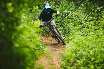 Mountain bike, man and cycling in forest for adventure, freedom and power of off road challenge on...