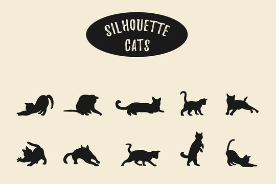 Cat silhouette set Isolated on white background, Vector illustration