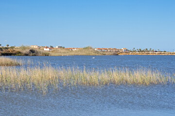 Beautiful saltwater lagoon with protected bird species in San Pedro del Pinatar, Murcia, on a sunny day