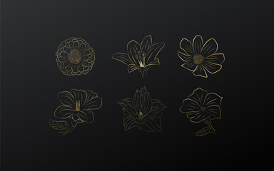  Golden flower circle line sketch set