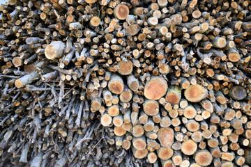 Neatly chopped and stacked fruit firewood, front view.