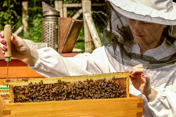 Woman Beekeeper with her bees