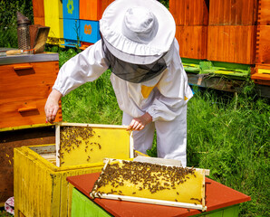 Beekeeper in white work suite with bees in beehives