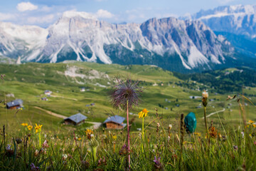 Fototapeta na wymiar Dolomites UNESCO Italy