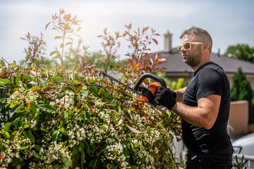 Man holding hedge trimmer in his hands. Bush pruning work. Gardening and cutting activities. Professional gardener holding with cordless electric hedge trimmer.