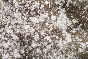 Cracked and abstract grunge texture. Aged material surface backdrop. Weathered effect pattern. Old and dirty background.