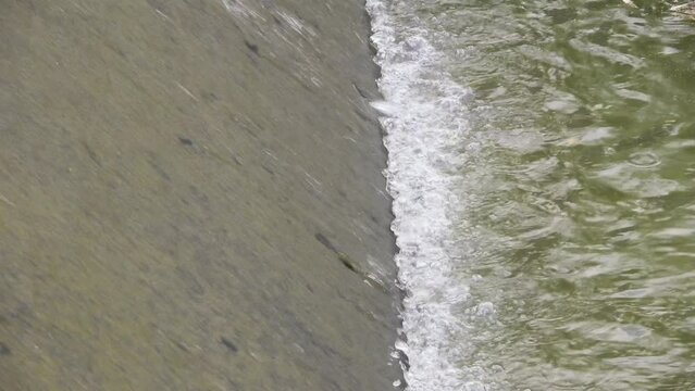 The water flows through the concrete weir with the gentle sound of water flowing and the beautiful singing of birds. Create a peaceful atmosphere filled with the beauty of nature.close up. slow motion