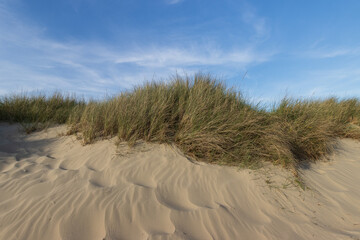 Sand dune with with marram grass.