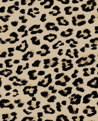 Animal Print Seamless Pattern