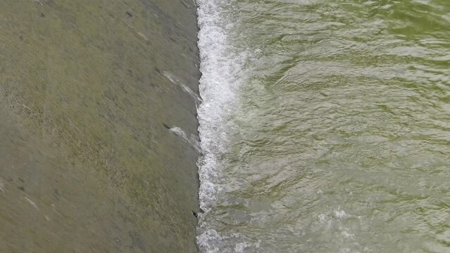 The water flows through the concrete weir with the gentle sound of water flowing and the beautiful singing of birds. Create a peaceful atmosphere filled with the beauty of nature.close up. slow motion