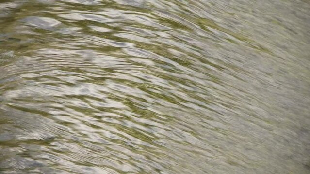 The water flows through the concrete weir with the gentle sound of water flowing and the beautiful singing of birds. Create a peaceful atmosphere filled with the beauty of nature.close up. slow motion