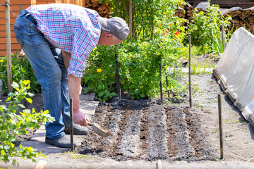 The gardener applies fertilizer to the beds in the garden with a metal bucket in the yard of the spring garden.