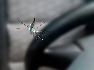 close up of a stone chip in the windshield of a car, detail shot of cracks in car glass on the...