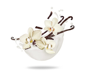 Dried vanilla sticks with flowers in milk splash isolated on white background