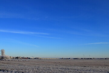 Winter photo during the winter. Flying birds in the distance. Skara, Sweden. December 2022.