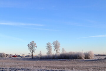 Winter photo during the winter. Flying birds in the distance. Skara, Sweden. December 2022.