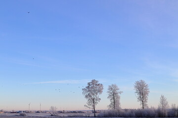 Winter photo during the winter. Flying birds in the distance. Skara, Sweden. December 2022.