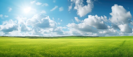 Fototapeta na wymiar Panoramic natural landscape with green grass field, blue sky with clouds and and mountains in background. Panorama summer spring meadow. Shallow depth of field