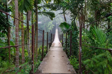 Fotobehang Bridge in jungle © Galyna Andrushko