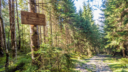 Mein Wünscheweg in Flachau - Energie und Inspiration 