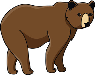 Cute Bear Vector