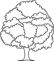 Big Tree Outline Illustration