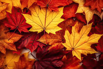 Naklejka na ściany i meble background of autumn leaves of various colors, red and orange. Ai generative