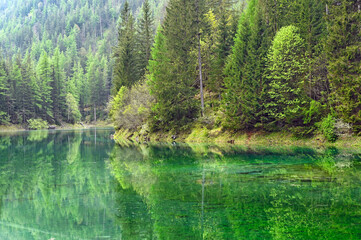 Reflection of the forest in the water,The Green Lake in Styria,Austria