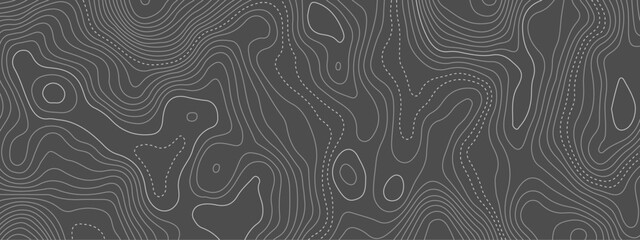 Abstract topographic wavy curve line background. Topography map pattern, Geographic curved relief. Topographic lines background. Vector illustration
