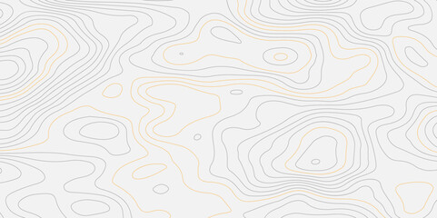 Abstract topographic wavy curve line background. Topography map pattern, Geographic curved relief. Topographic lines background. Vector illustration.