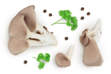 Oyster mushrooms isolated on white background with full depth of field. Top view. Flat lay