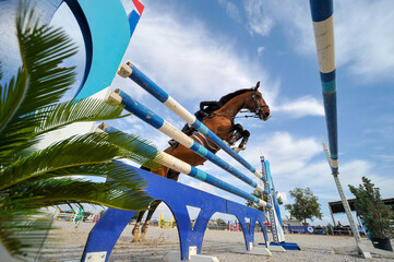 The bottom view on the rider on horse jumping over a hurdle during the equestrian event