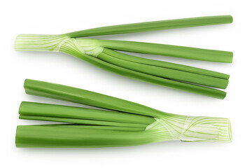 Obraz na płótnie Canvas Green onion isolated on the white background. Top view. Flat lay.