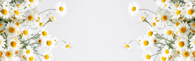 Fototapete Flowers composition. White field chamomile, flower on white background. panoramic photo of summer daisy flowers. © prime1001