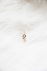 beautiful wedding ring on a white