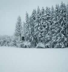 The cabin in the woods