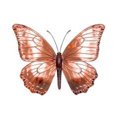 Dorcas copper butterfly -  Lycaena dorcas 1. Transparent PNG. Generative AI