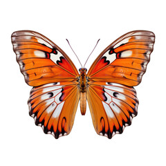 Gulf fritillary butterfly -  Agraulis vanillae 1. Transparent PNG. Generative AI